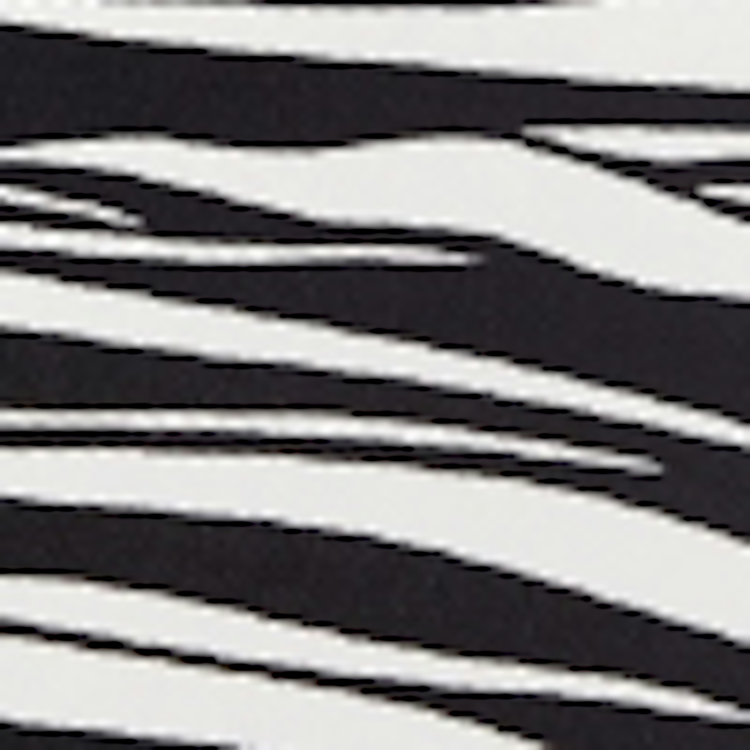 color-black-zebra